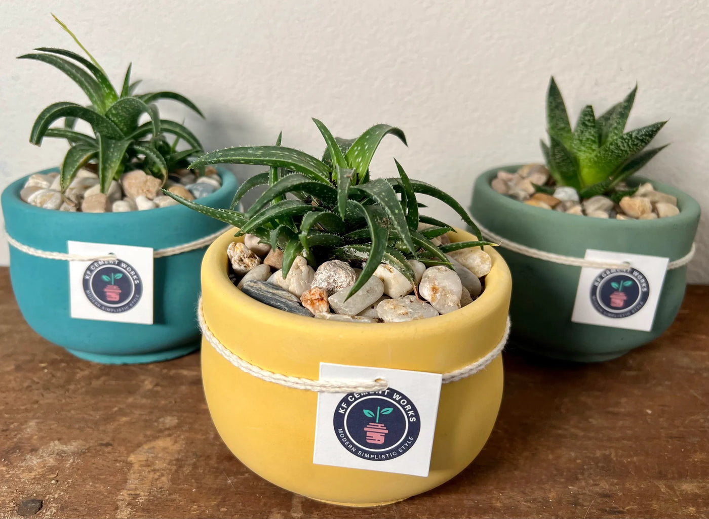 Handcrafted Plants with Love in Paradise, CA